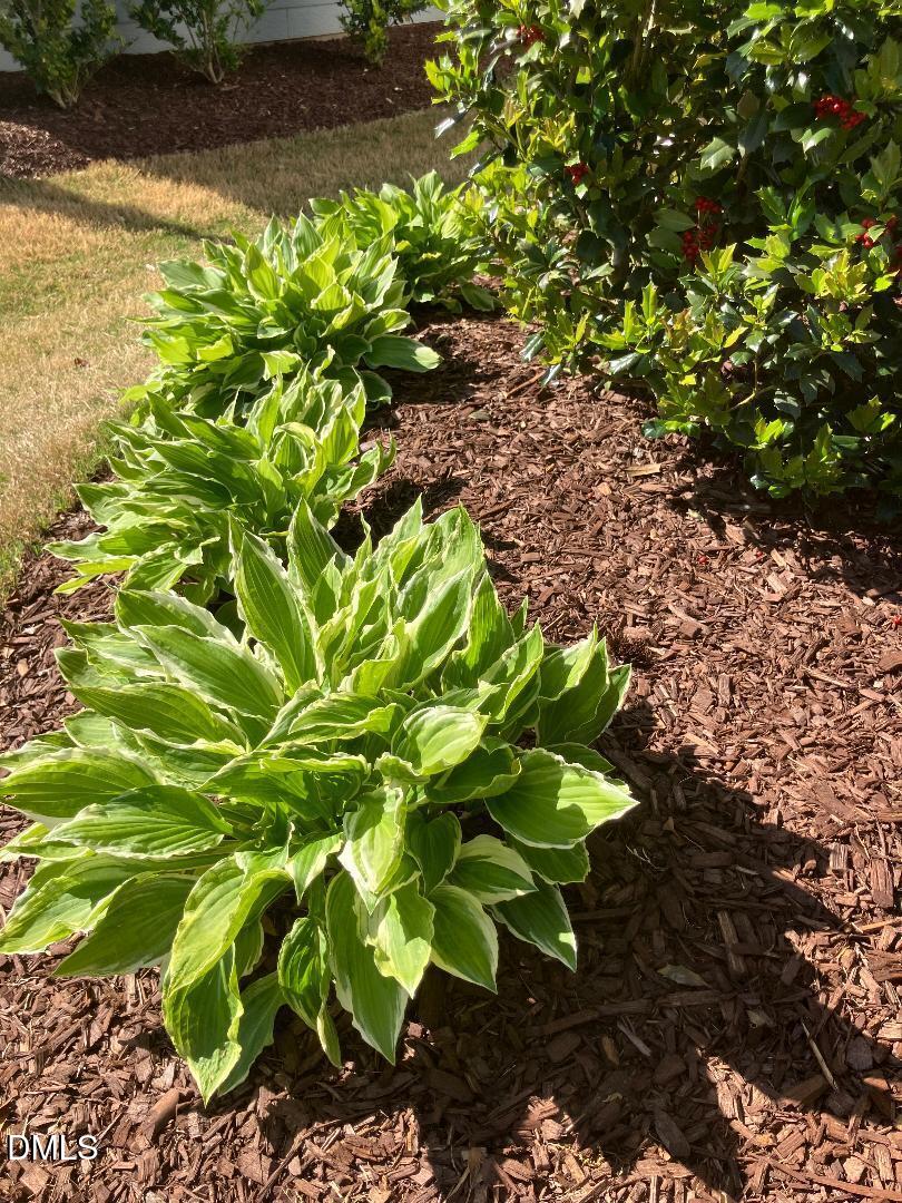 833 Whistable Avenue