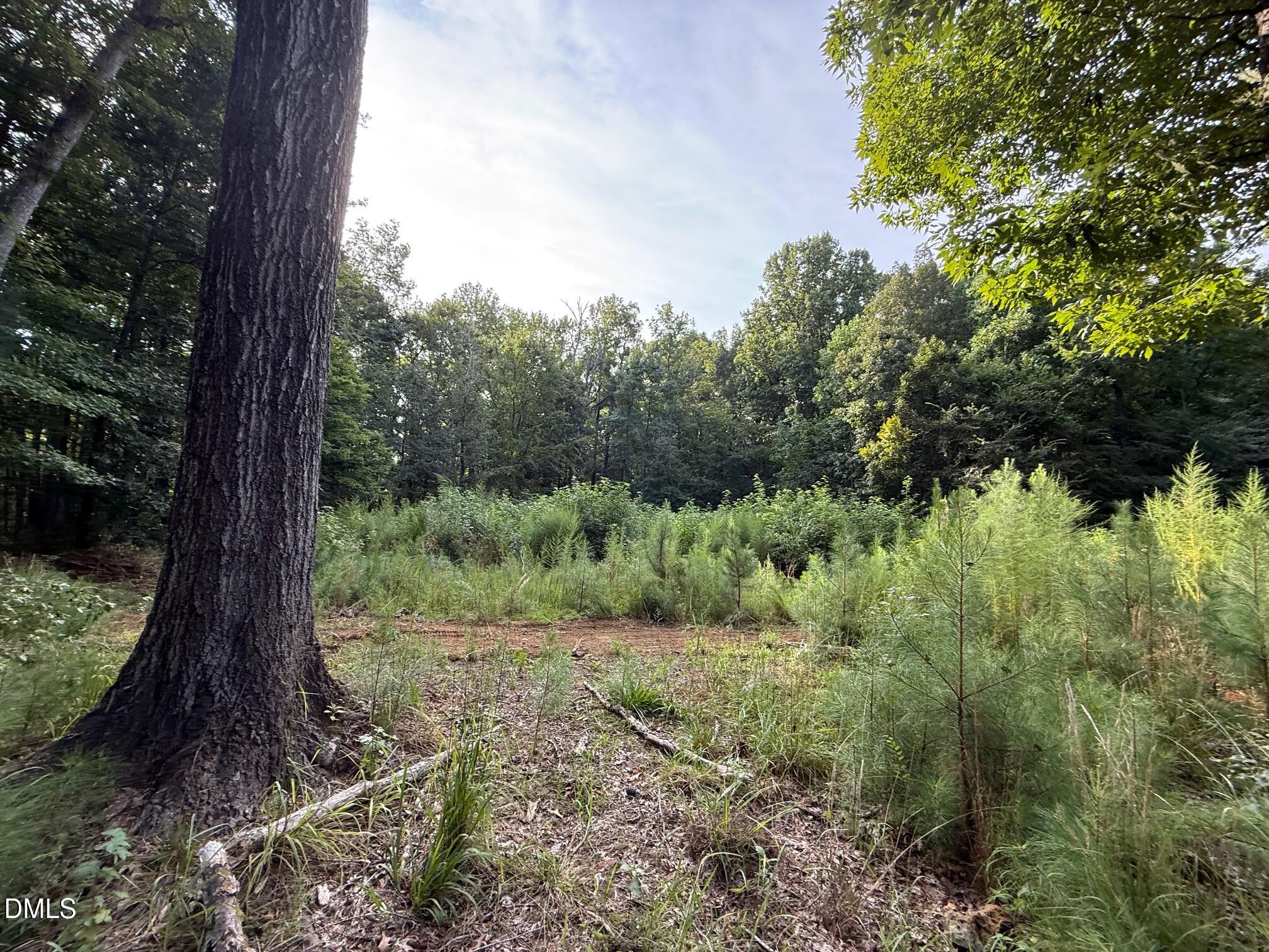 Lot 1 Orange Grv Street