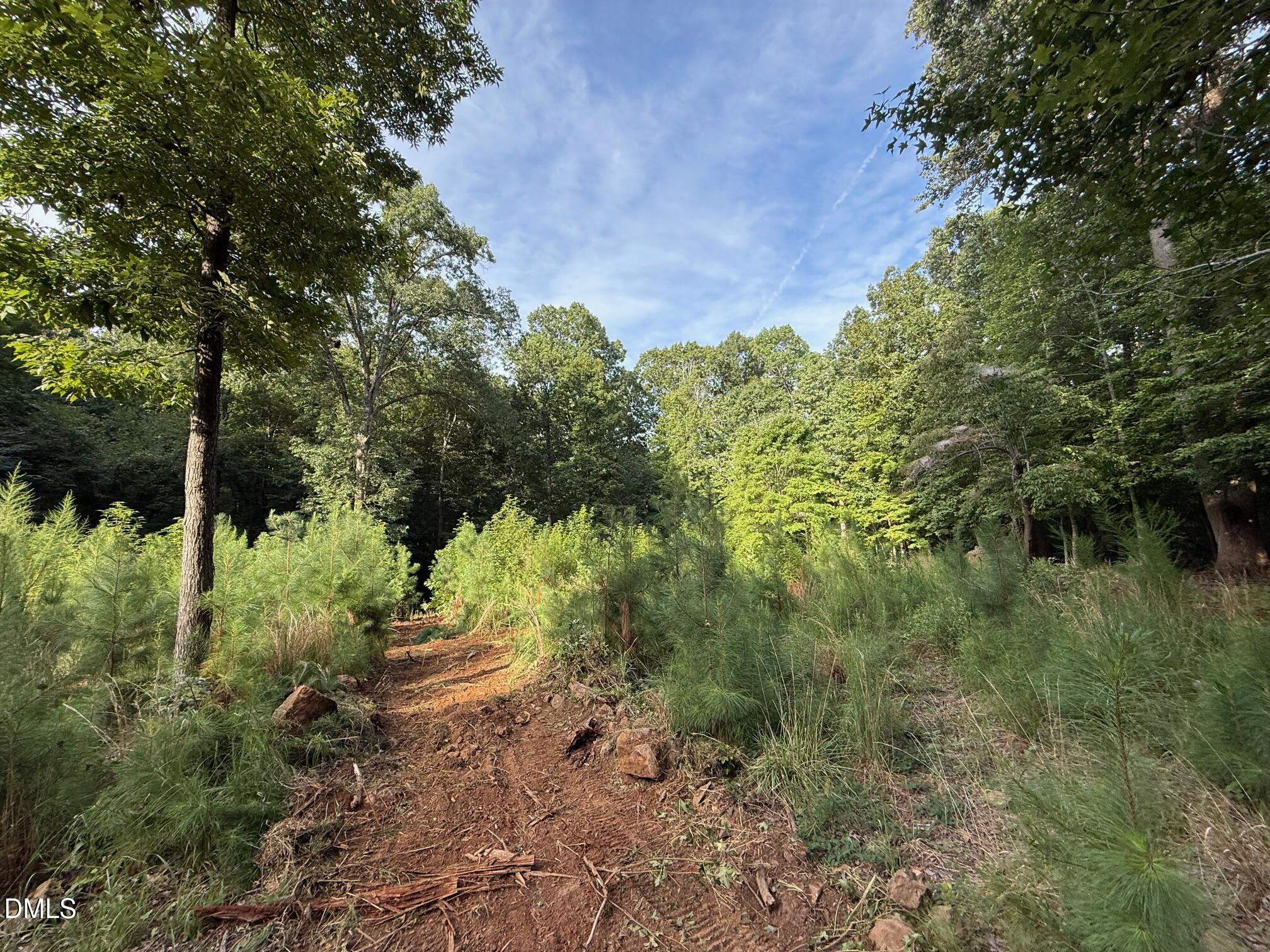 Lot 1 Orange Grv Street