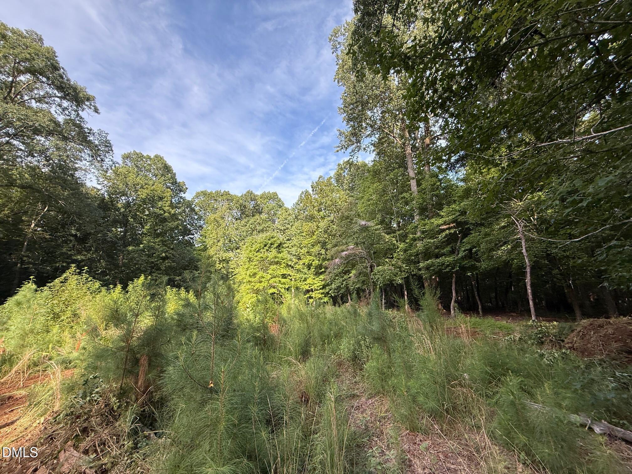 Lot 1 Orange Grv Street
