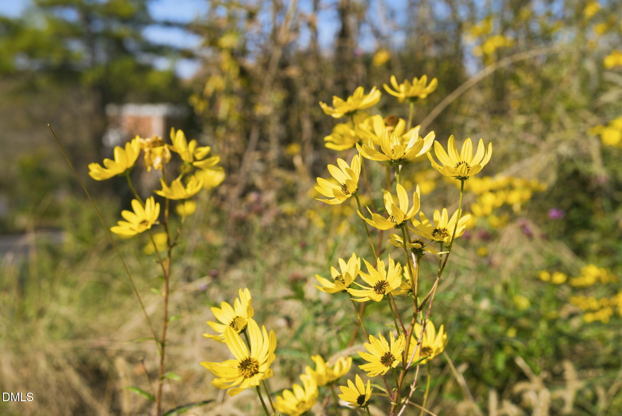 Saxapahaw, North Carolina 27340, United States, 2 Bedrooms Bedrooms, ,3 BathroomsBathrooms,Residential,Active,240397