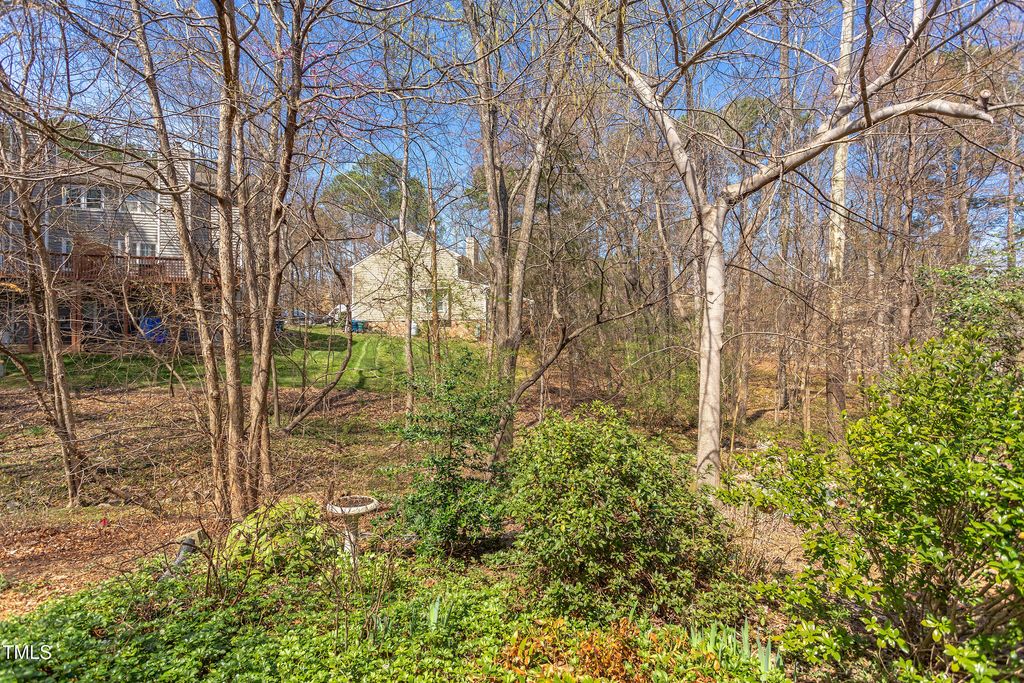 listing image 45