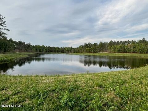 1613 Derby Road Jackson Springs NC 27281