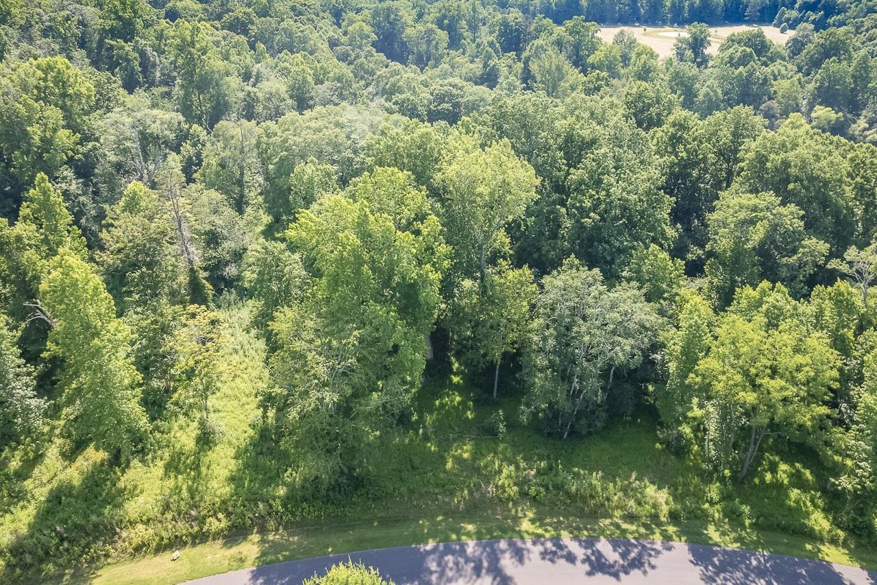 Lot 11 Gallant Fox Crossing