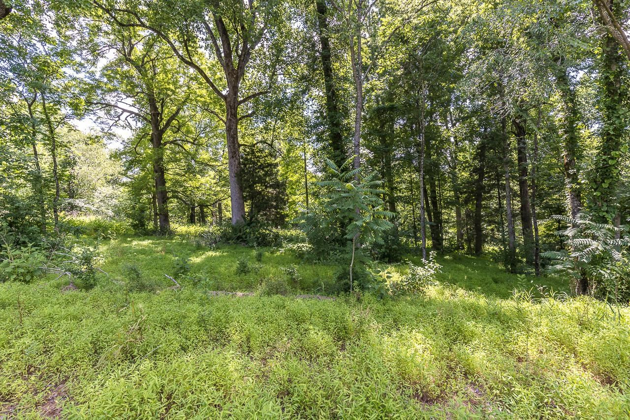 Lot 11 Gallant Fox Crossing