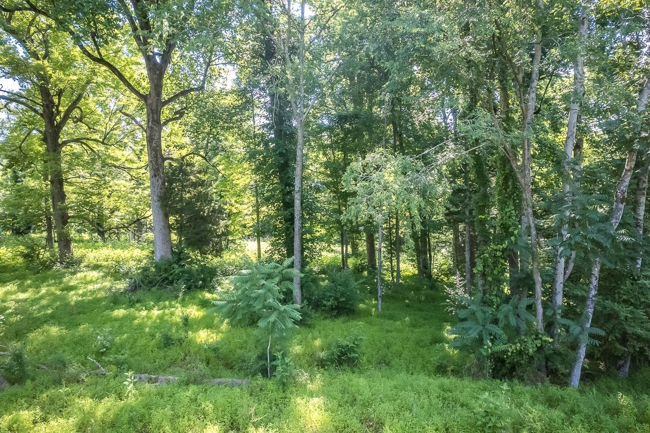 Lot 11 Gallant Fox Crossing