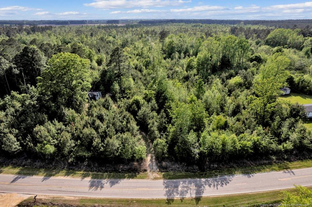 391 & 494 Carroll Store Road