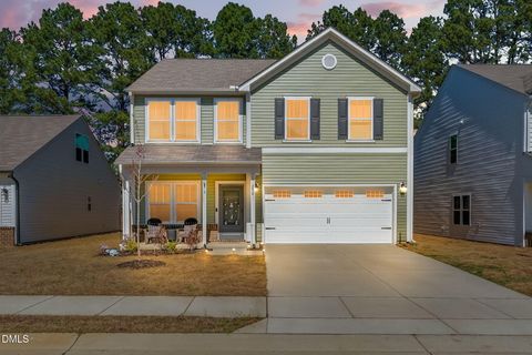 256 Horseshoe Place Angier NC 27501