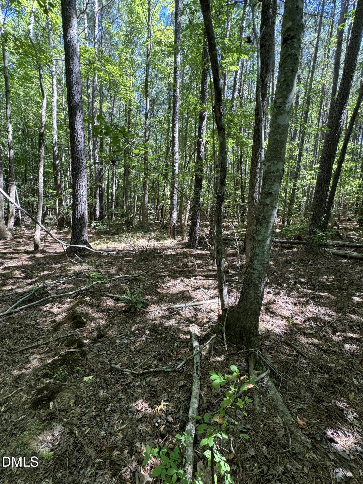 1820 Efland - Cedar Grove Road