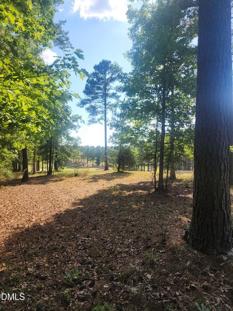 Photo of 65 High Ridge Lane, Pittsboro, NC 27312 (MLS # 10169859)