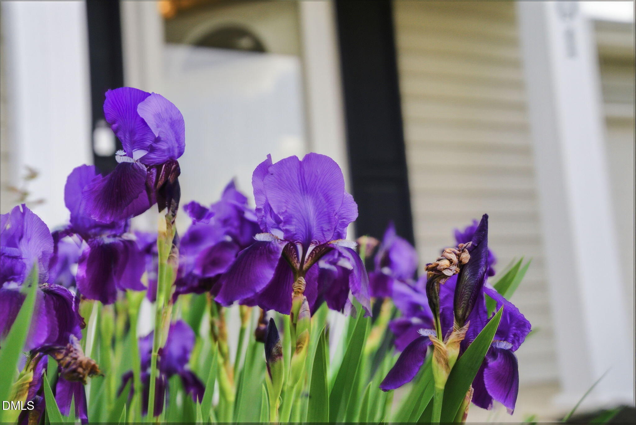 301 Downing Glen Drive