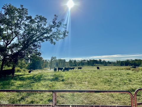 Lot 1 Jones Road Hurdle Mills NC 27541