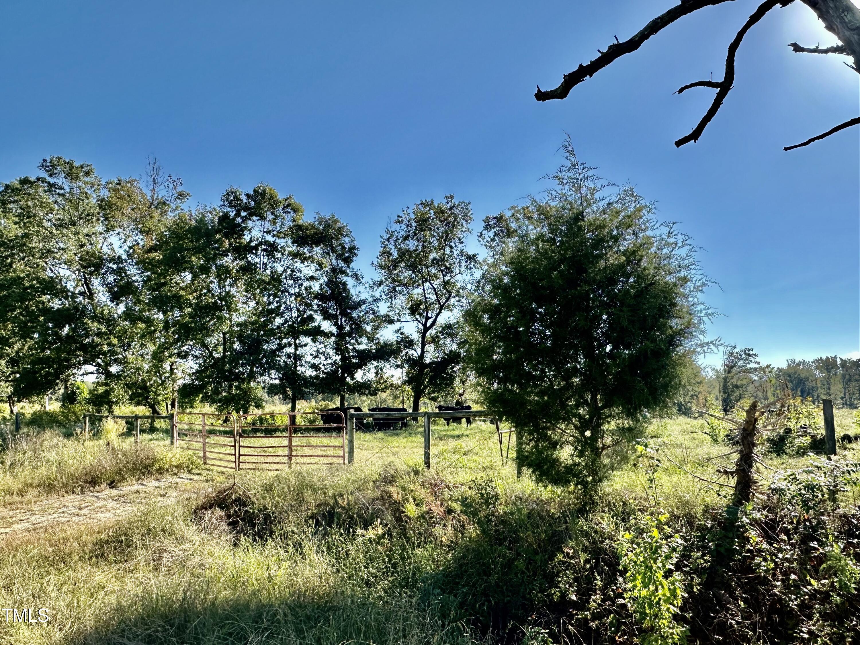Lot 1 Jones Road