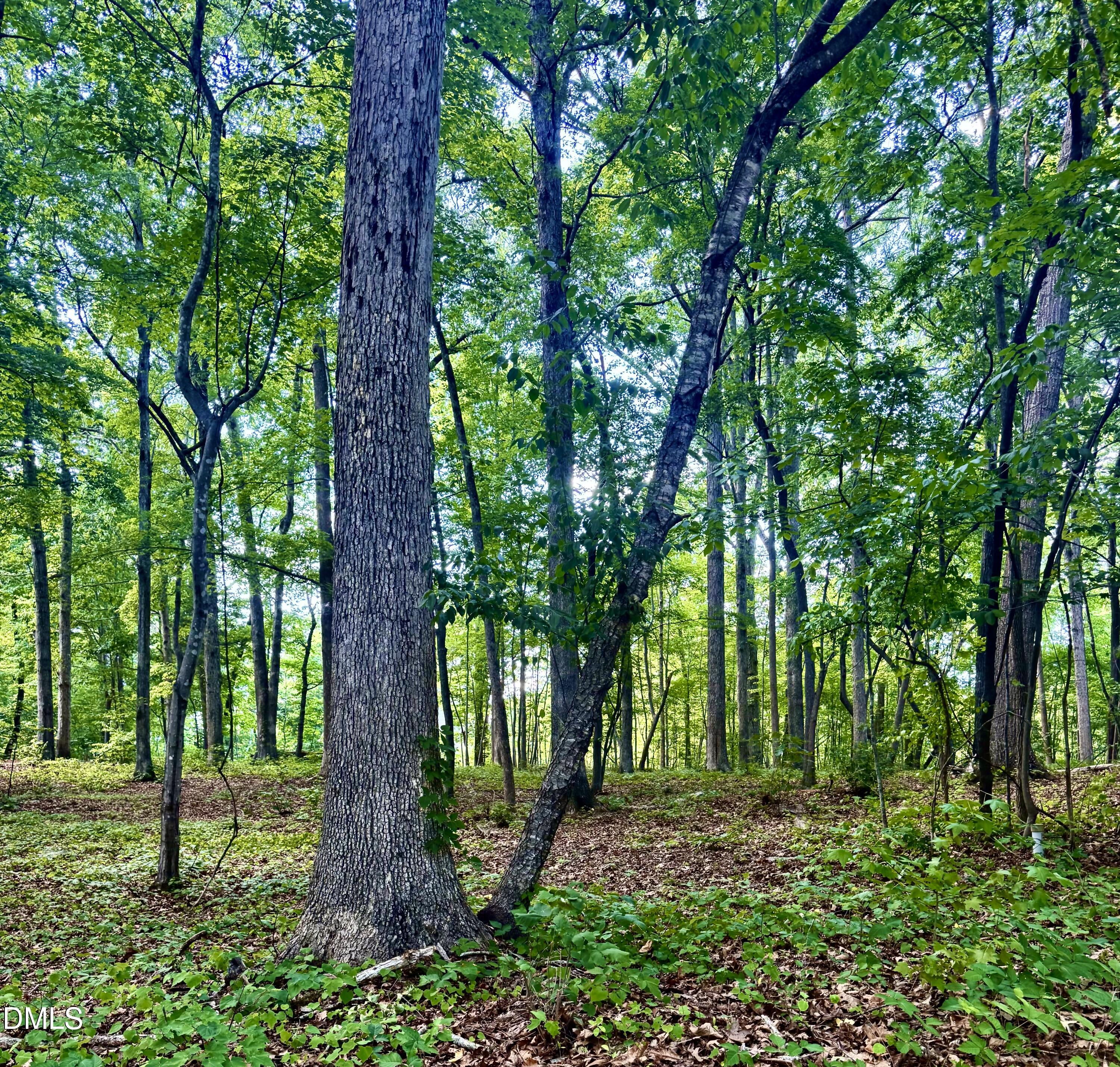 604 Appaloosa Trail