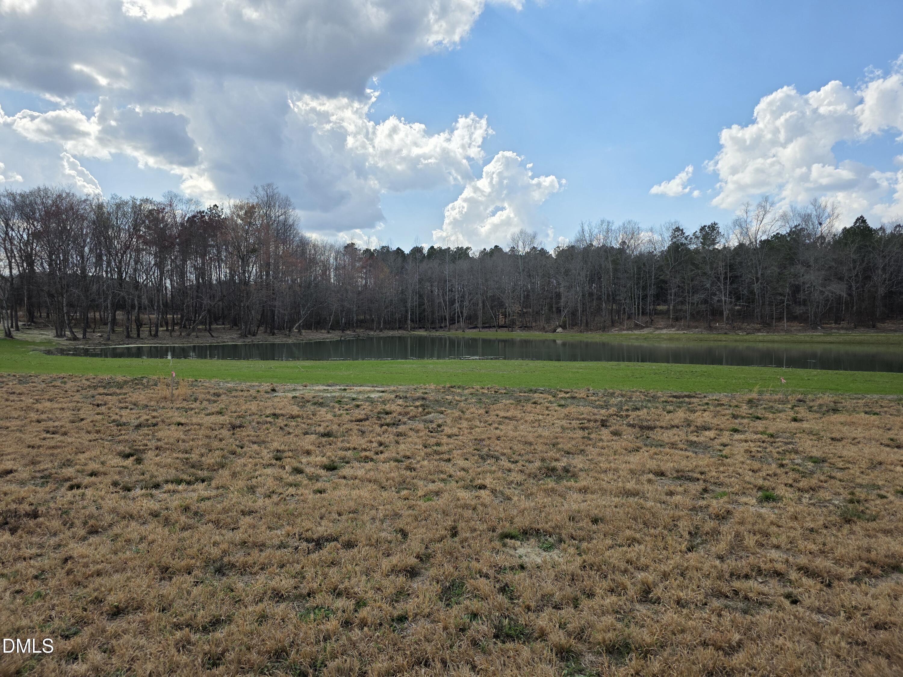 115 Water Willow Lane