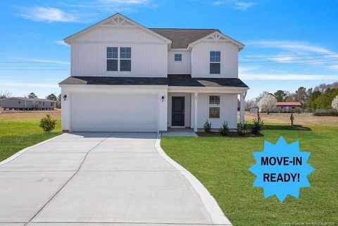 85 Buggy Top (Lot 4) Lane Autryville NC 28318