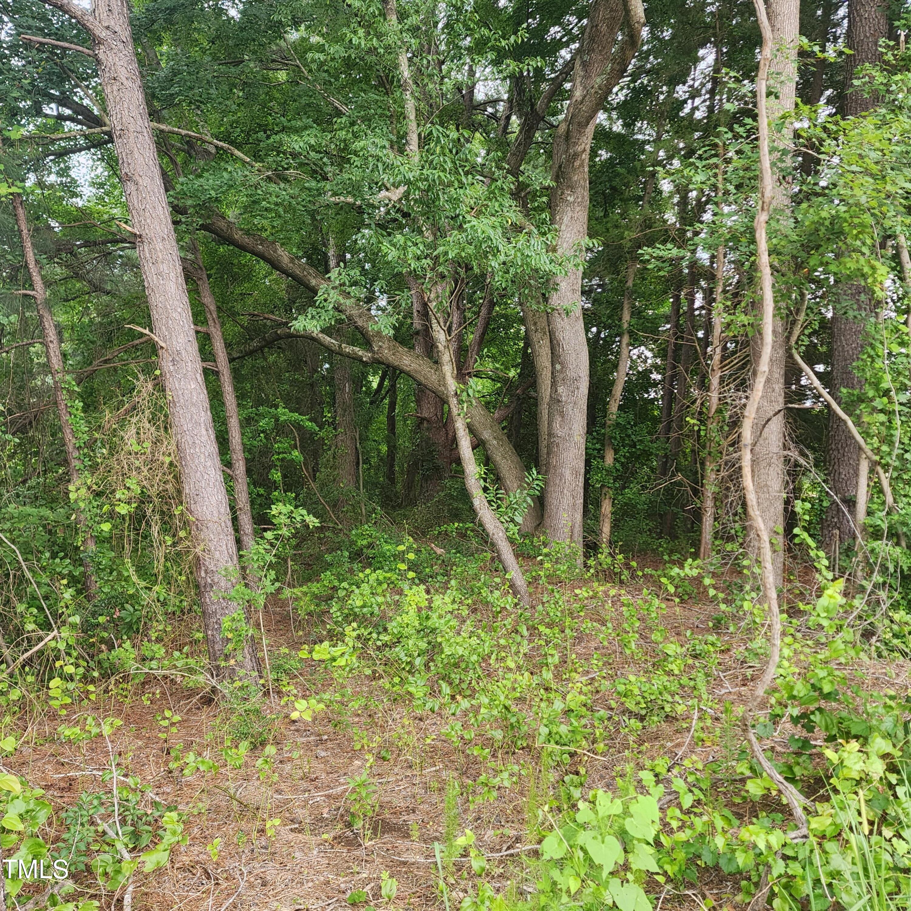 13124 N NC Hwy 96