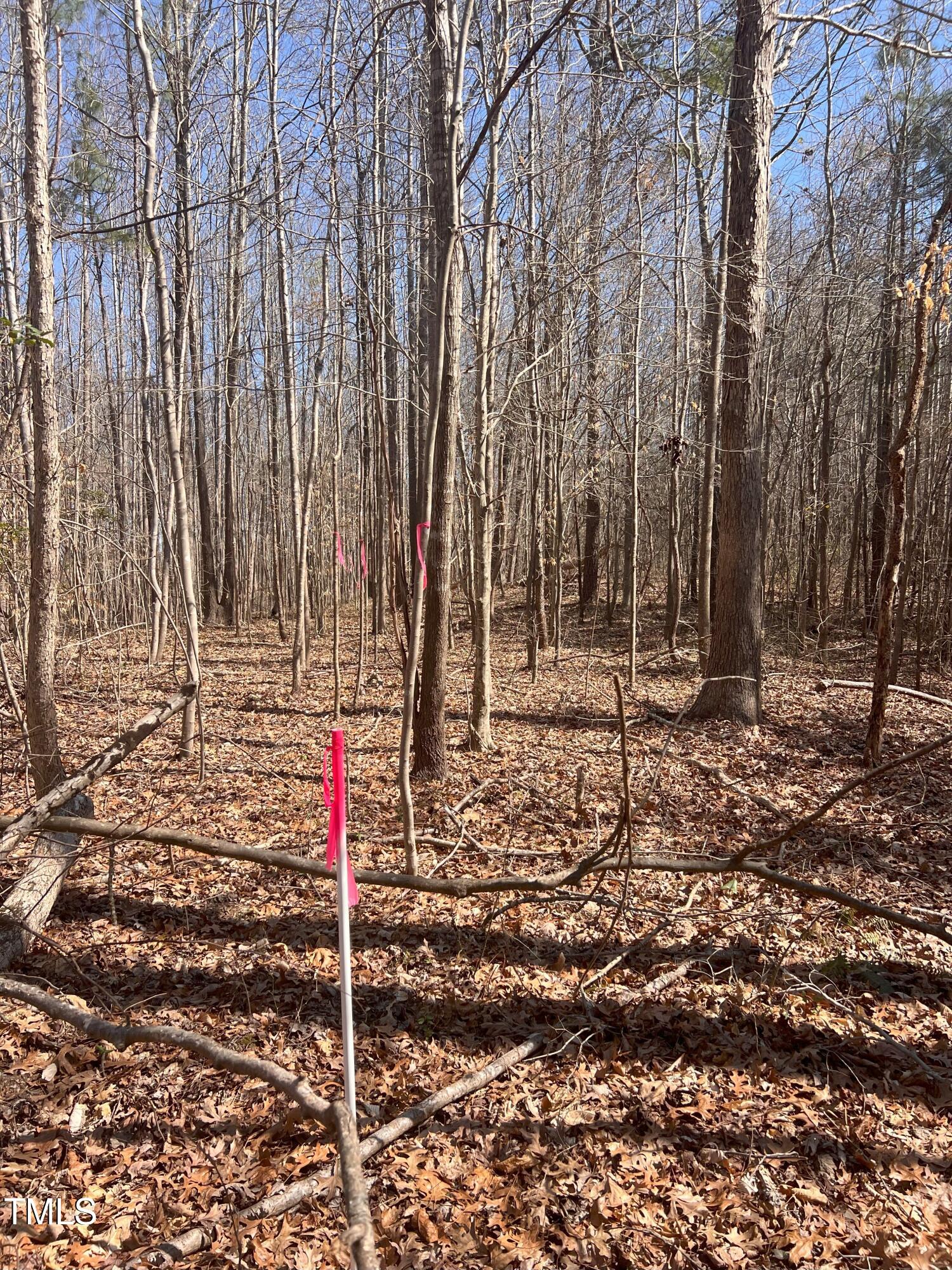 Tract 2 Fishing Creek Road