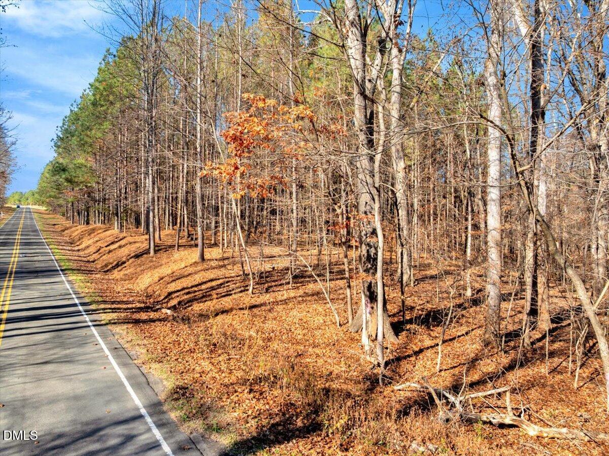 0 Tommie Daniel Road