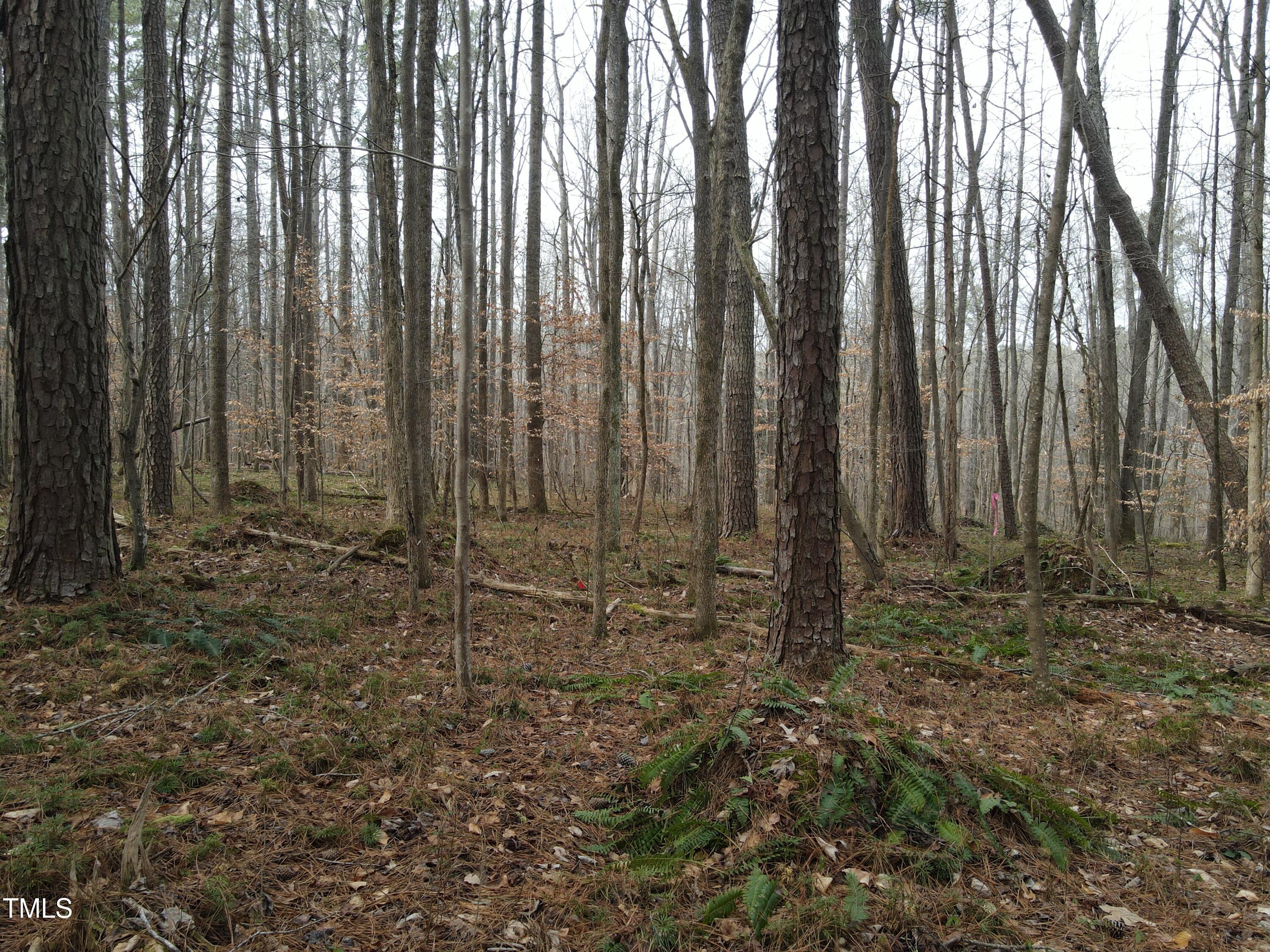 Lot 2 Millcent Court