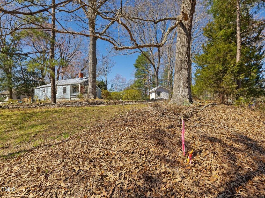 listing image 50