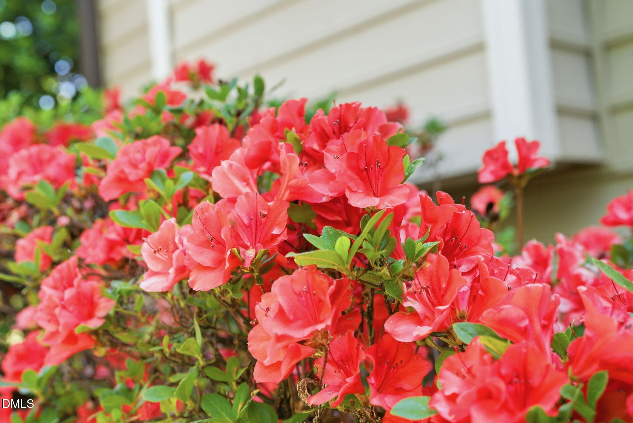 8104 Crookneck Drive