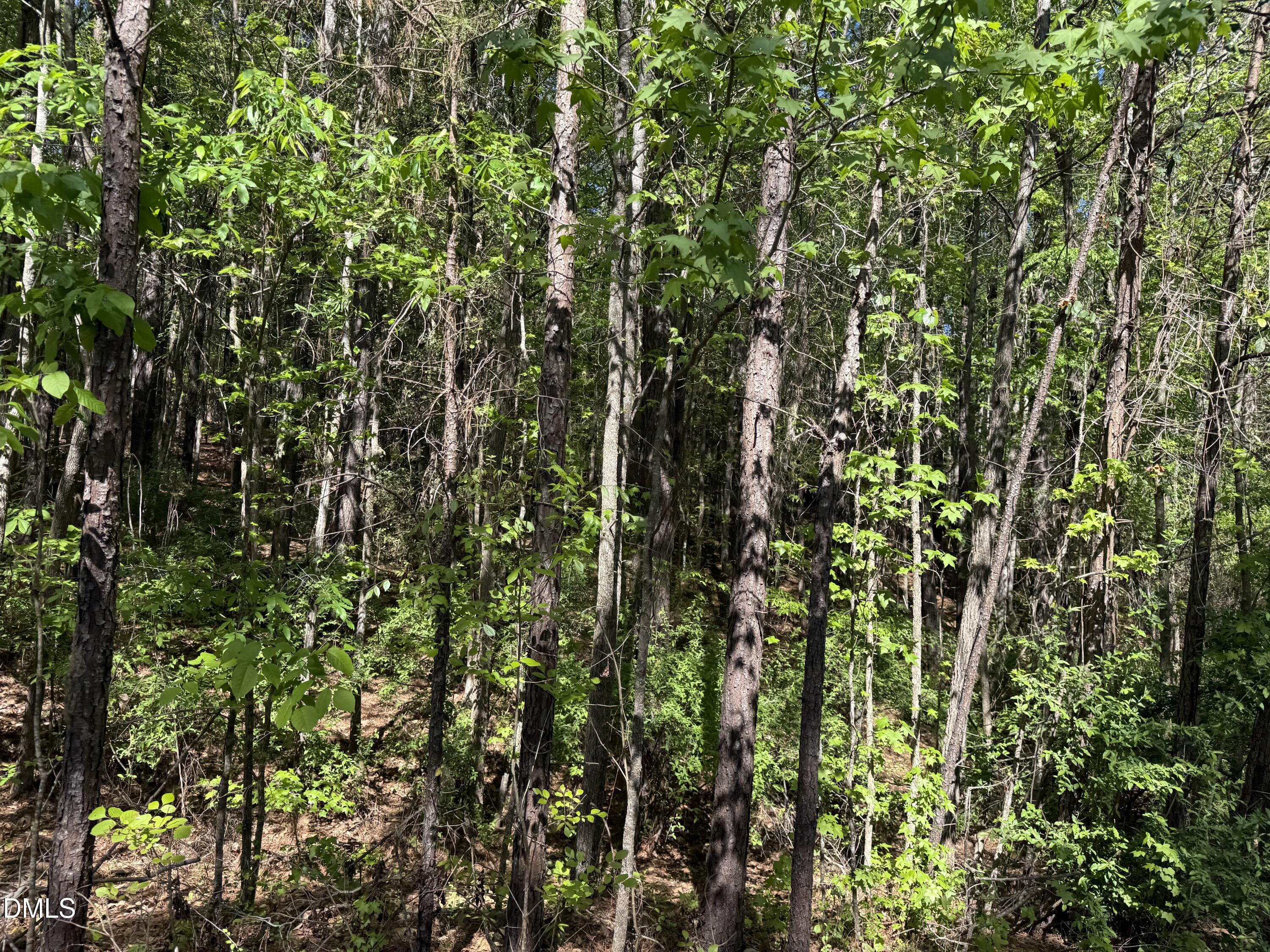 122 Timberline Drive