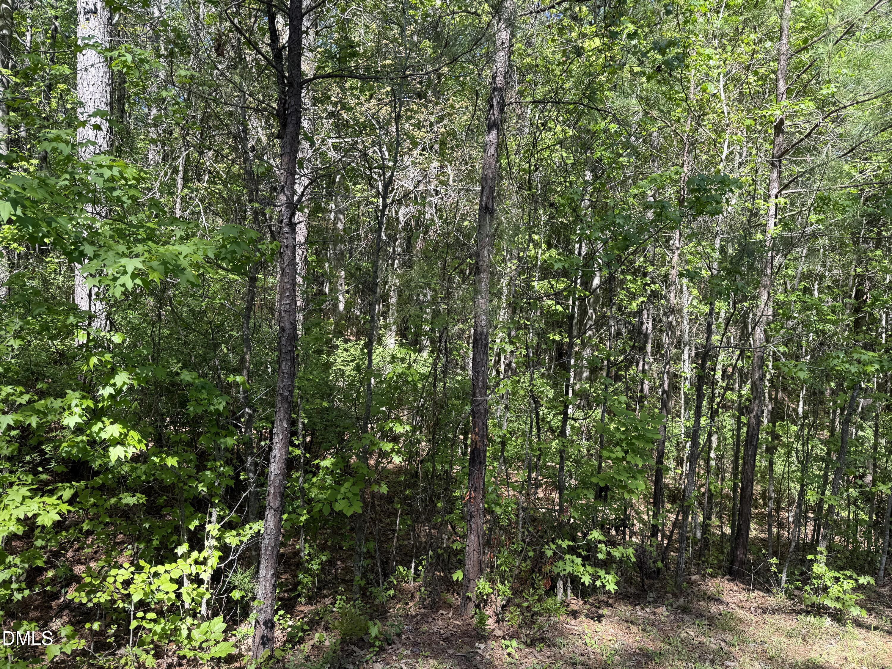 122 Timberline Drive