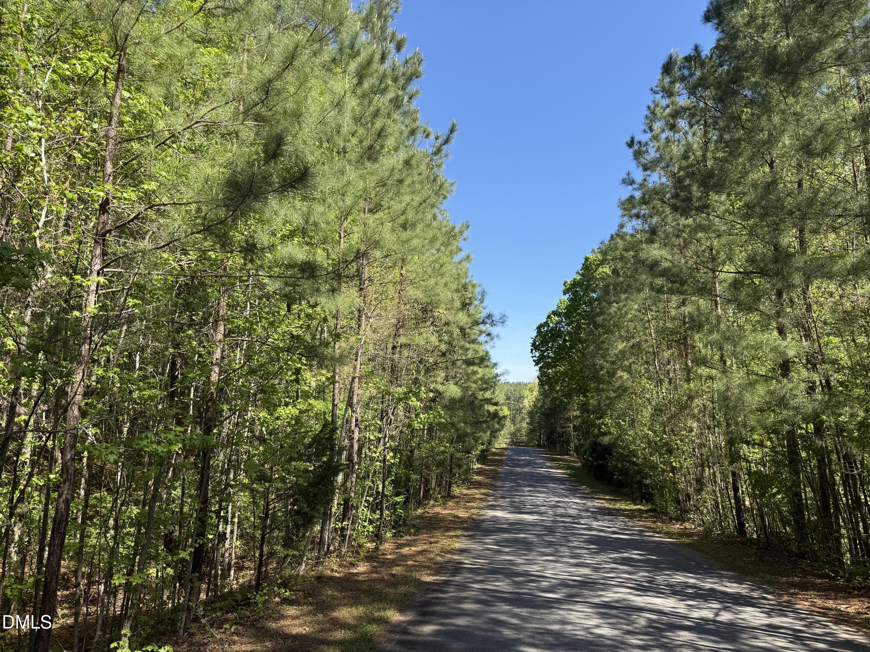 122 Timberline Drive