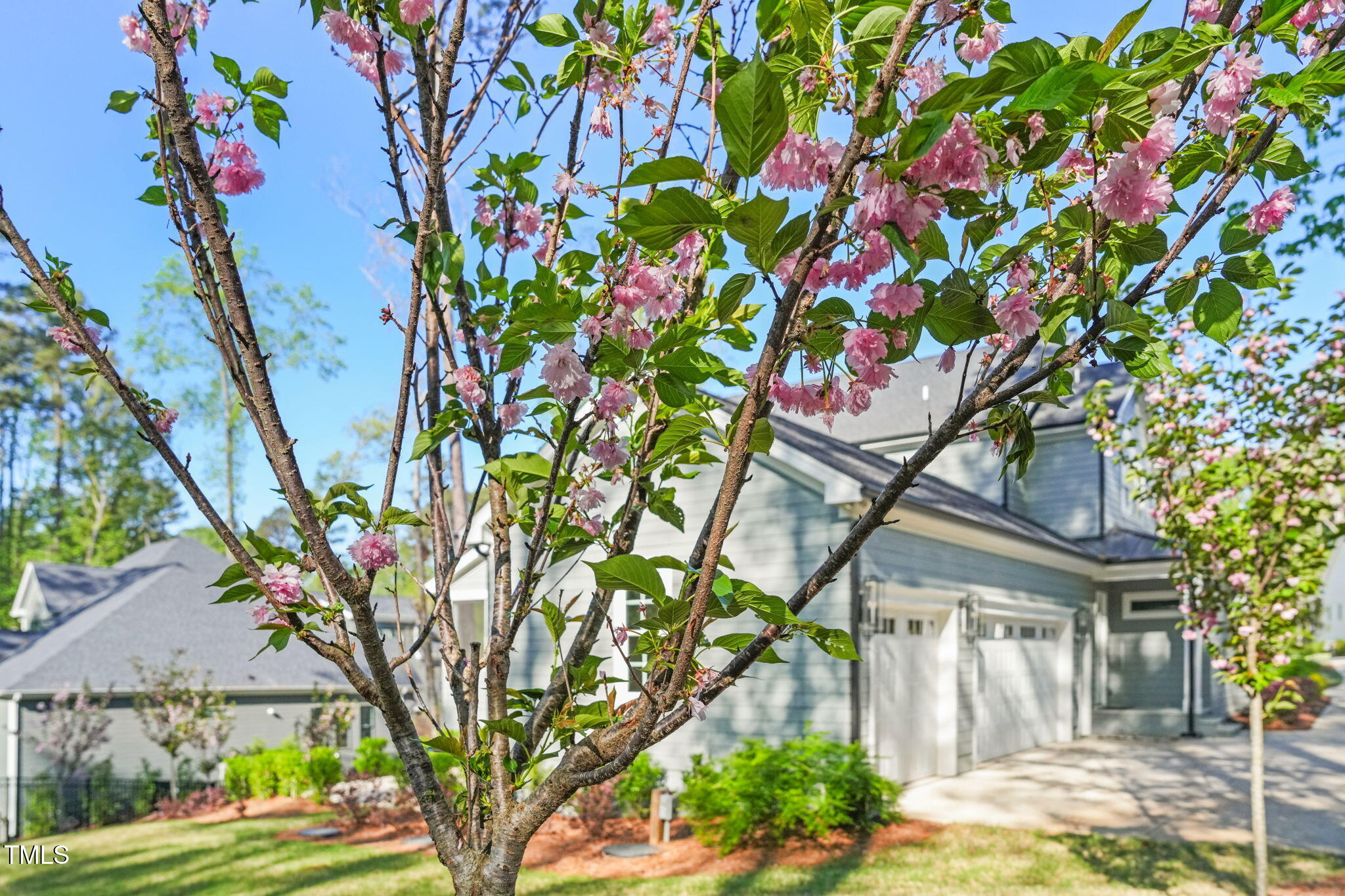 2721 Sanctuary Woods Lane