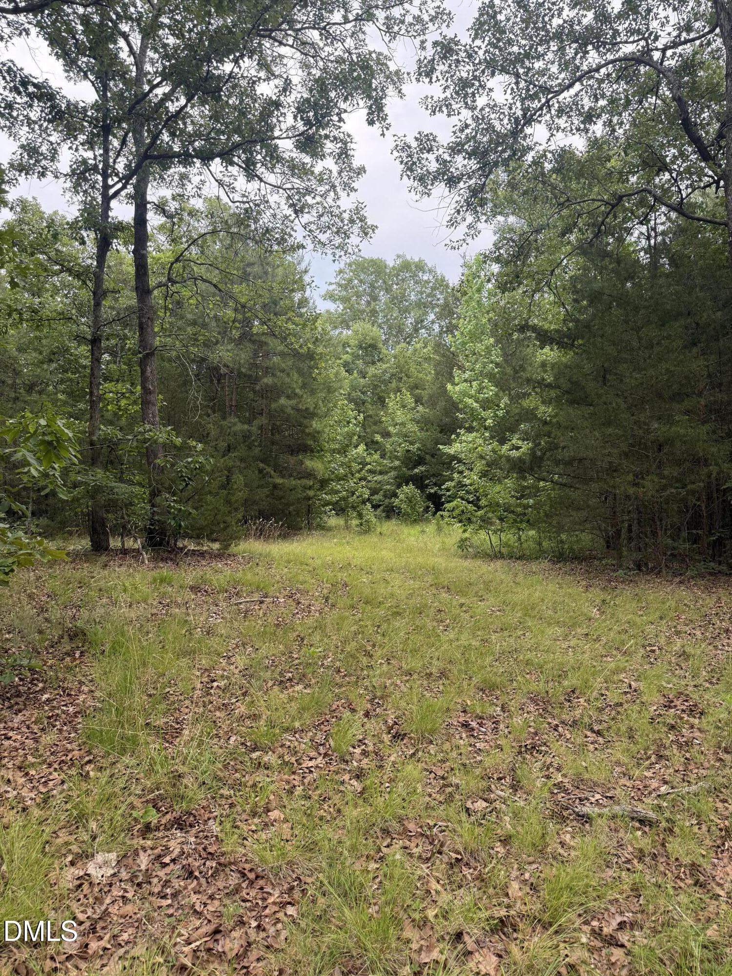 245 Brandon-kelsey Drive