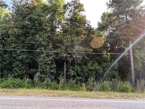 Old US 421 Highway Lillington NC 27546