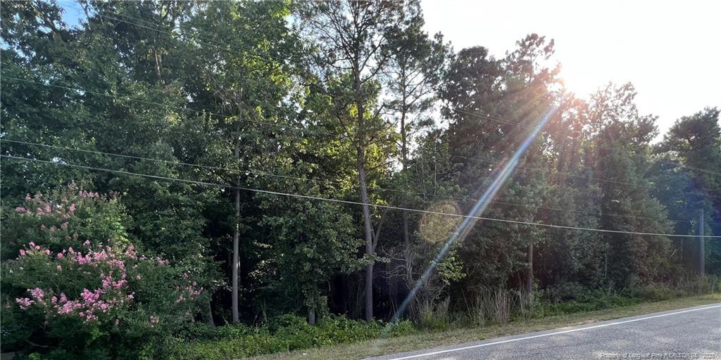 Old US 421 Highway