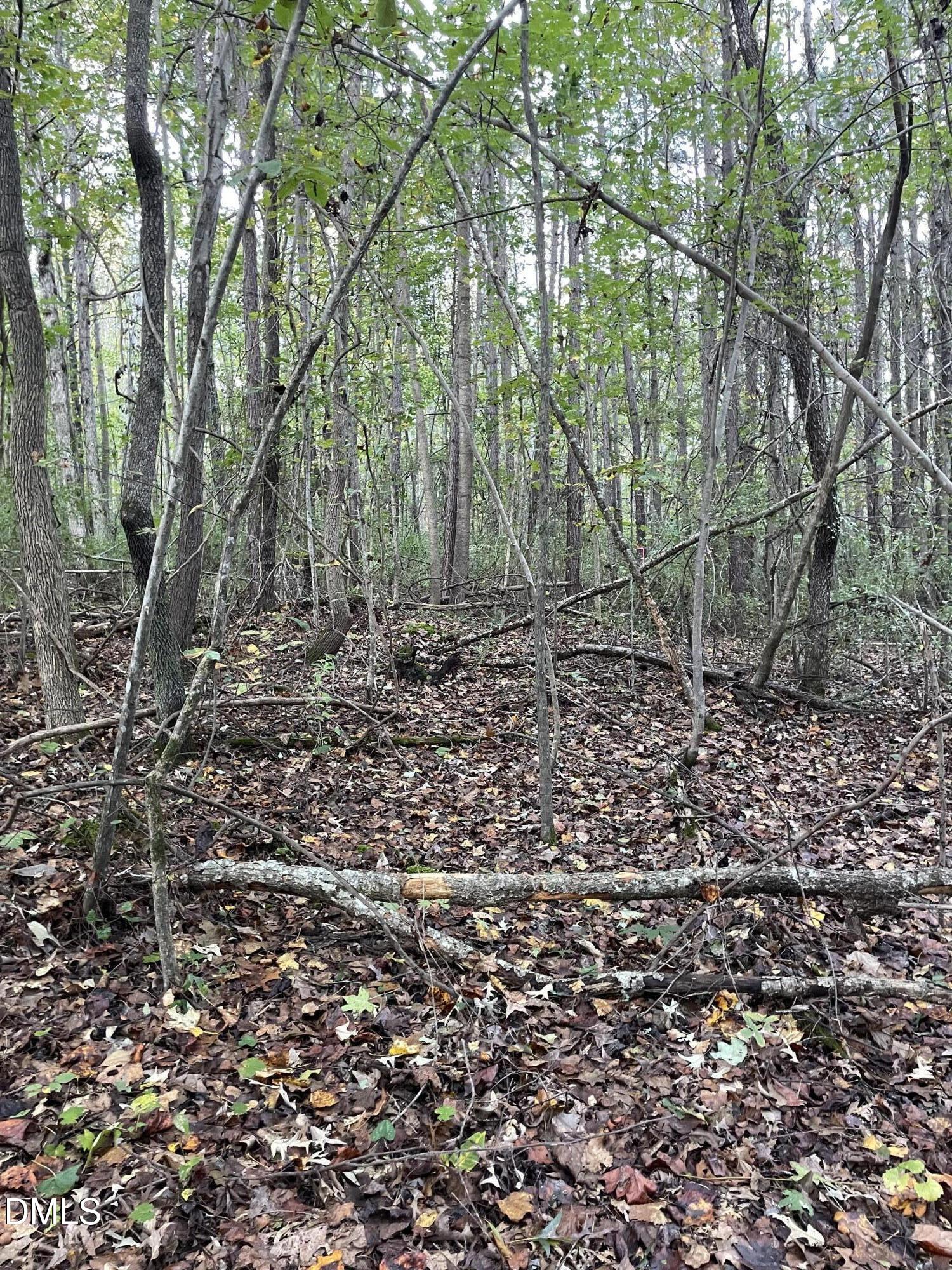 2865 Silk Hope Gum Springs Road