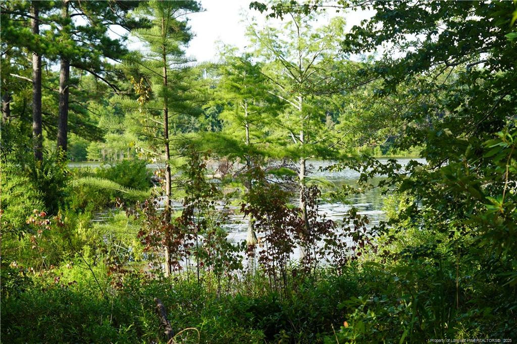 LOT 8 Lakeview Drive