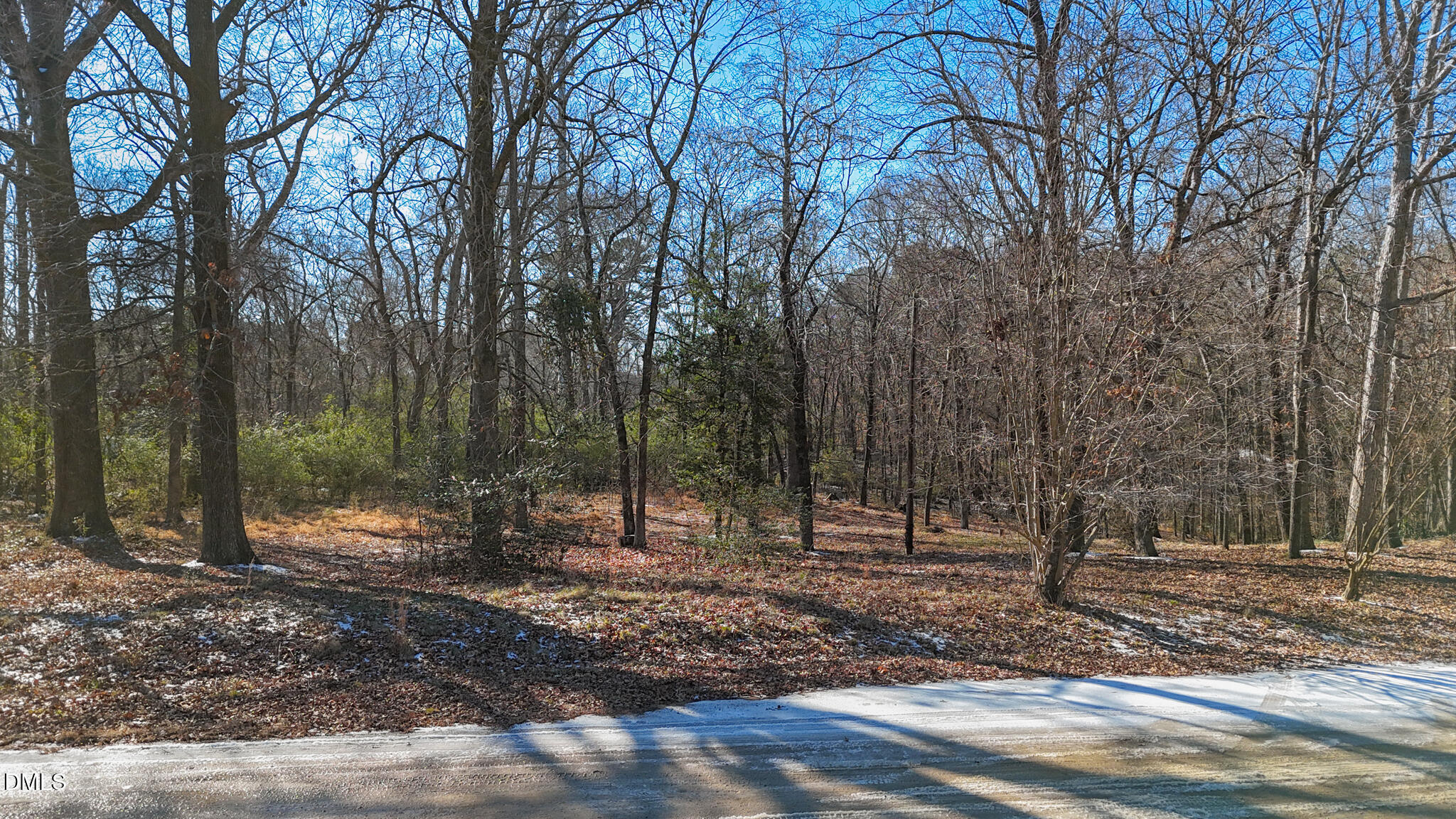 3336 Holly Lake Trail