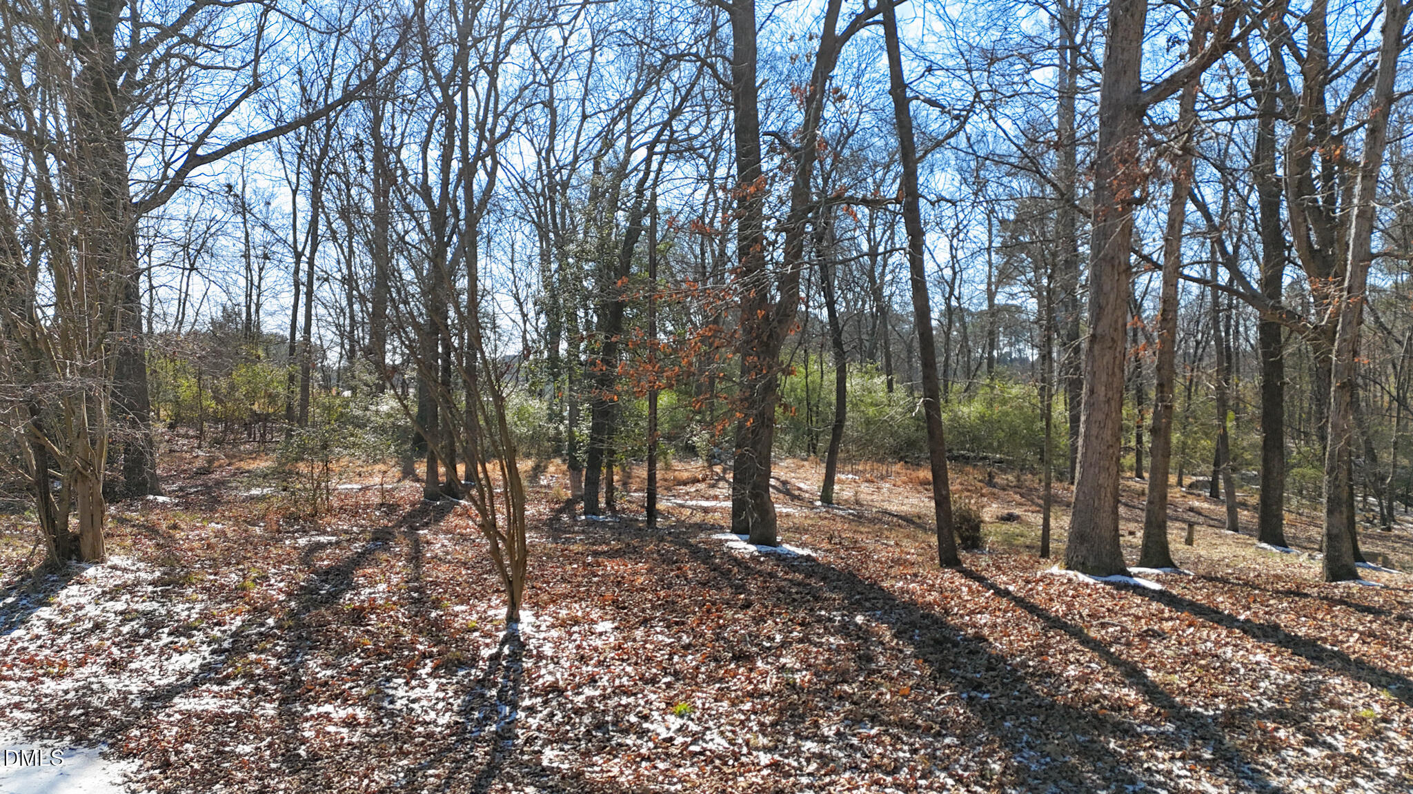 3336 Holly Lake Trail