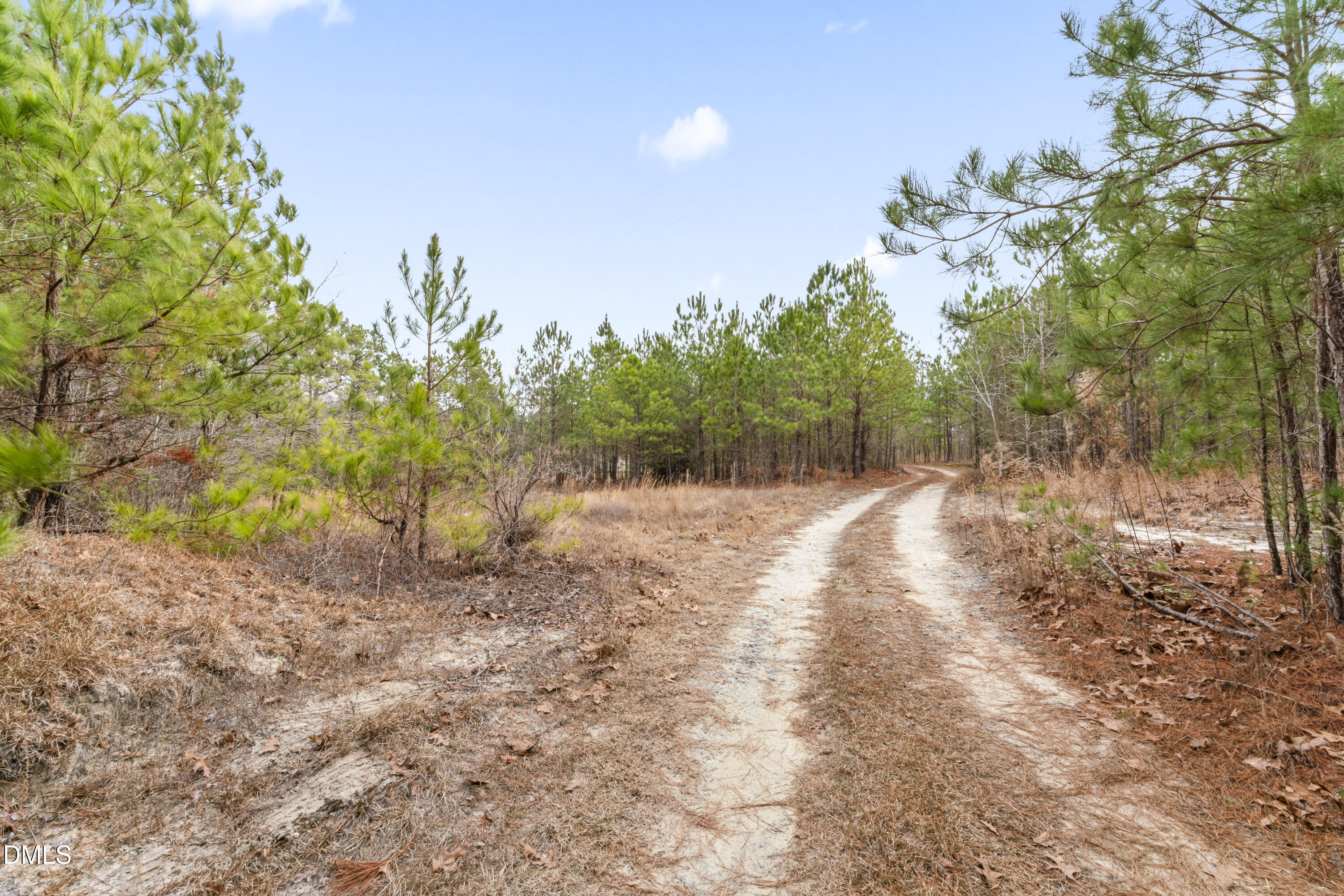 707 Currie Mill Road