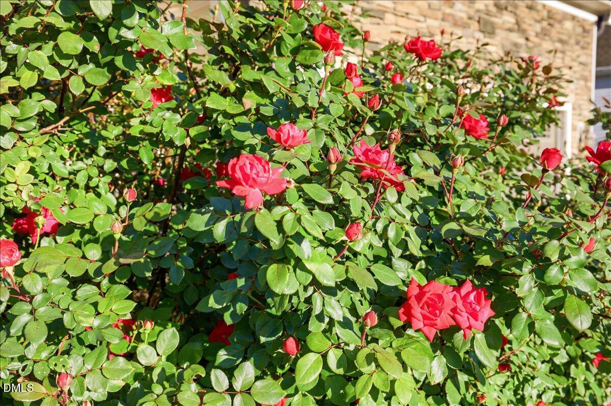 297 Hawkesburg Drive