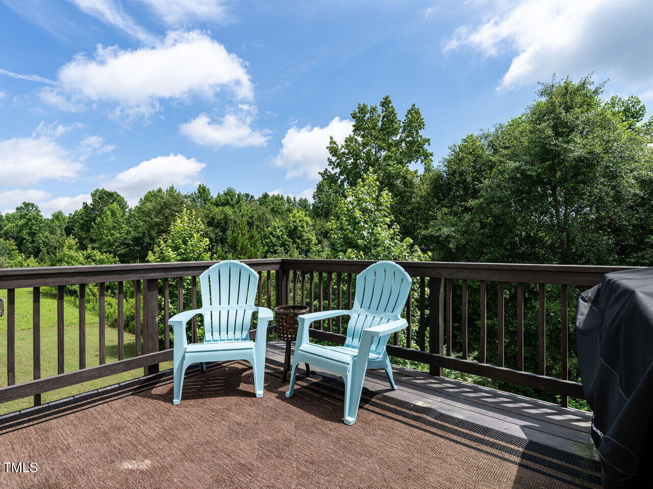 857 Stable Fern Drive