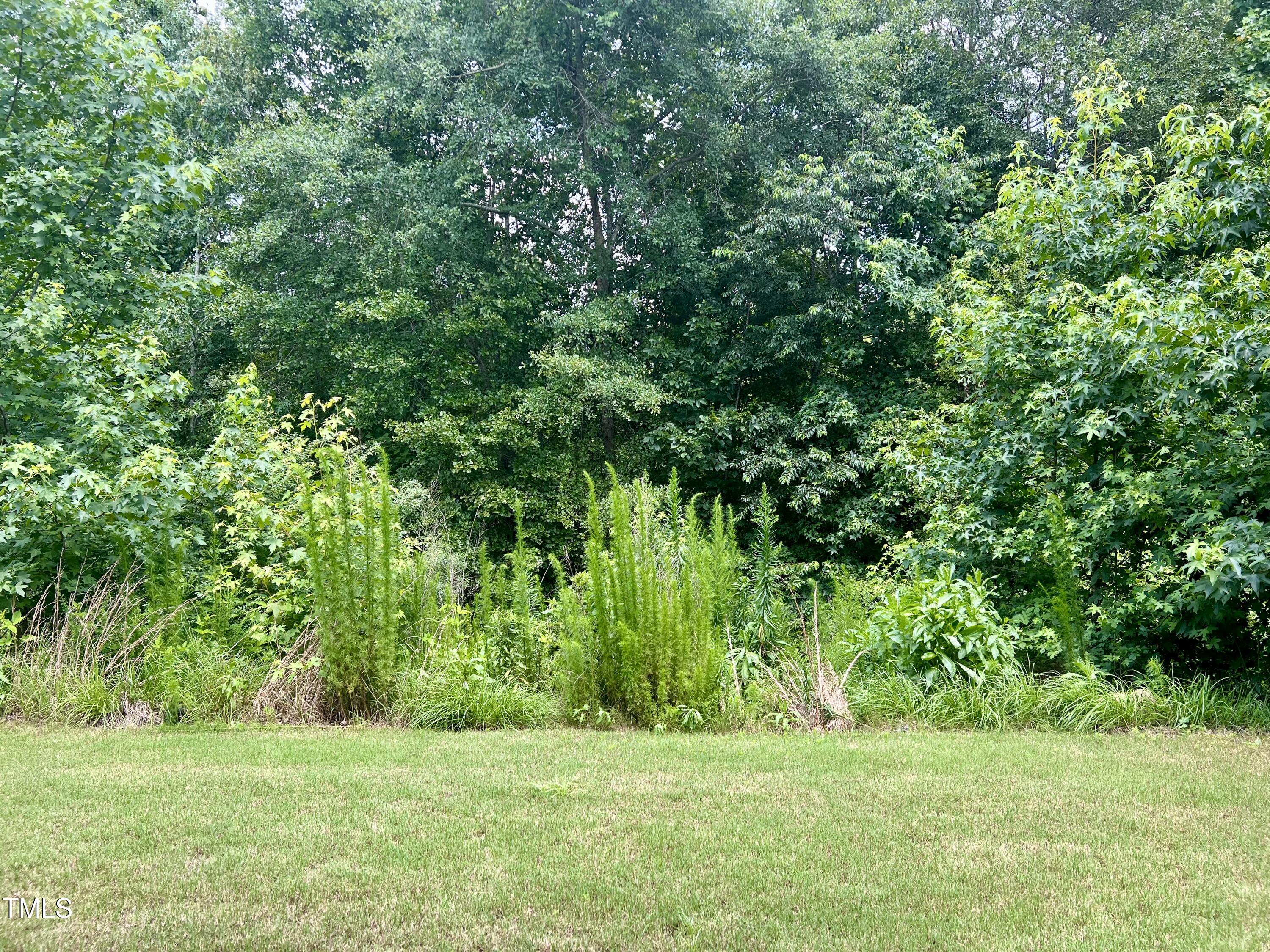 857 Stable Fern Drive