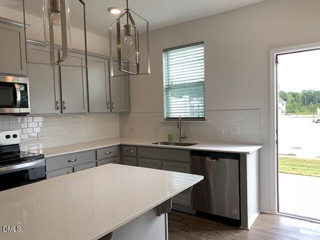 93 Camel Crazies Place