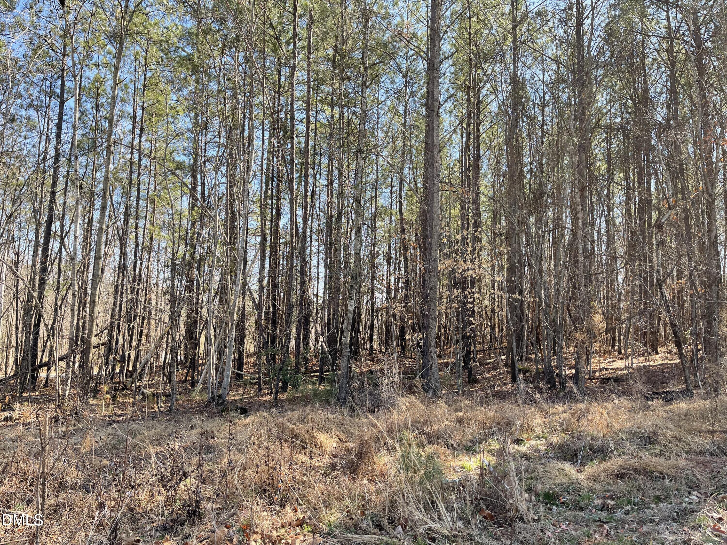 800 Olive Branch Road