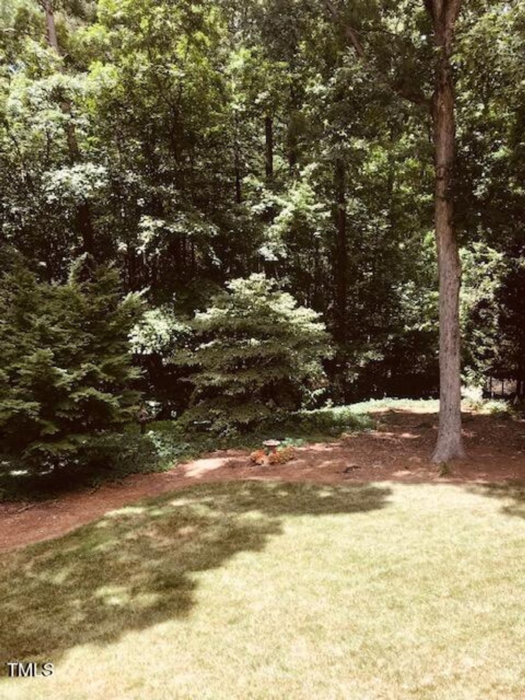 listing image 47