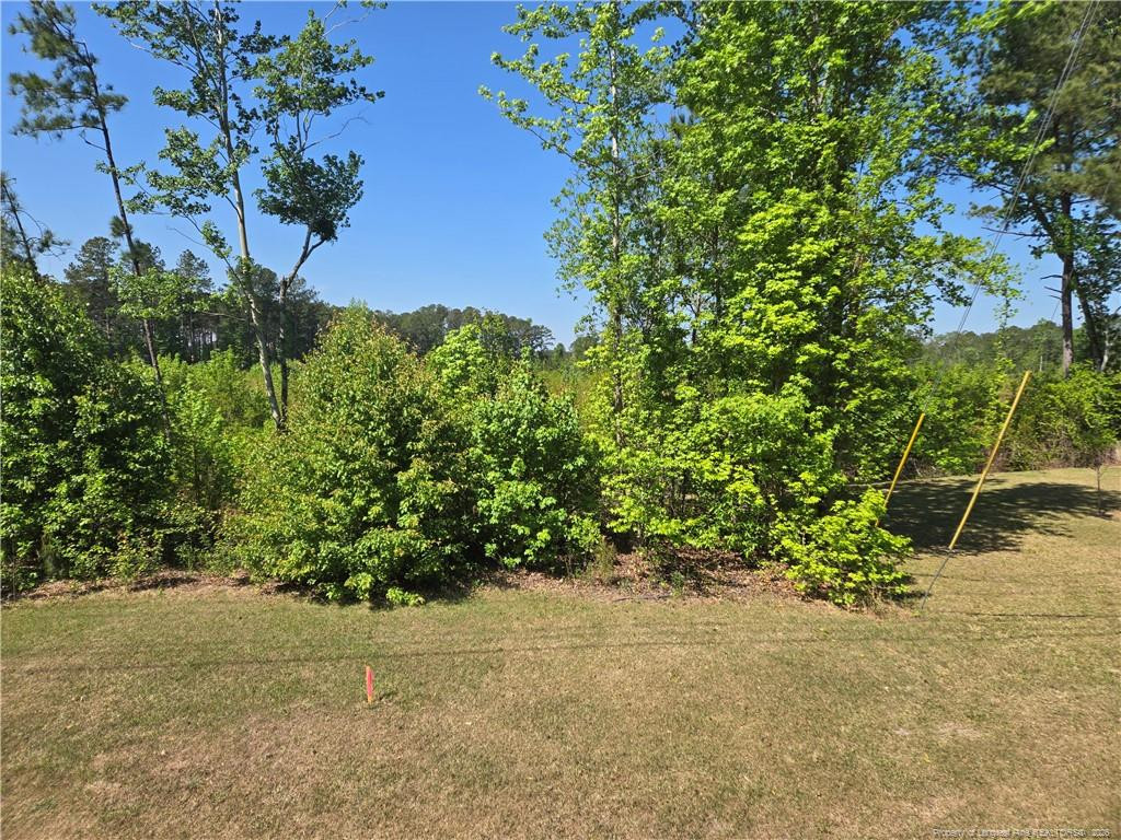 2916 Hummingbird Place