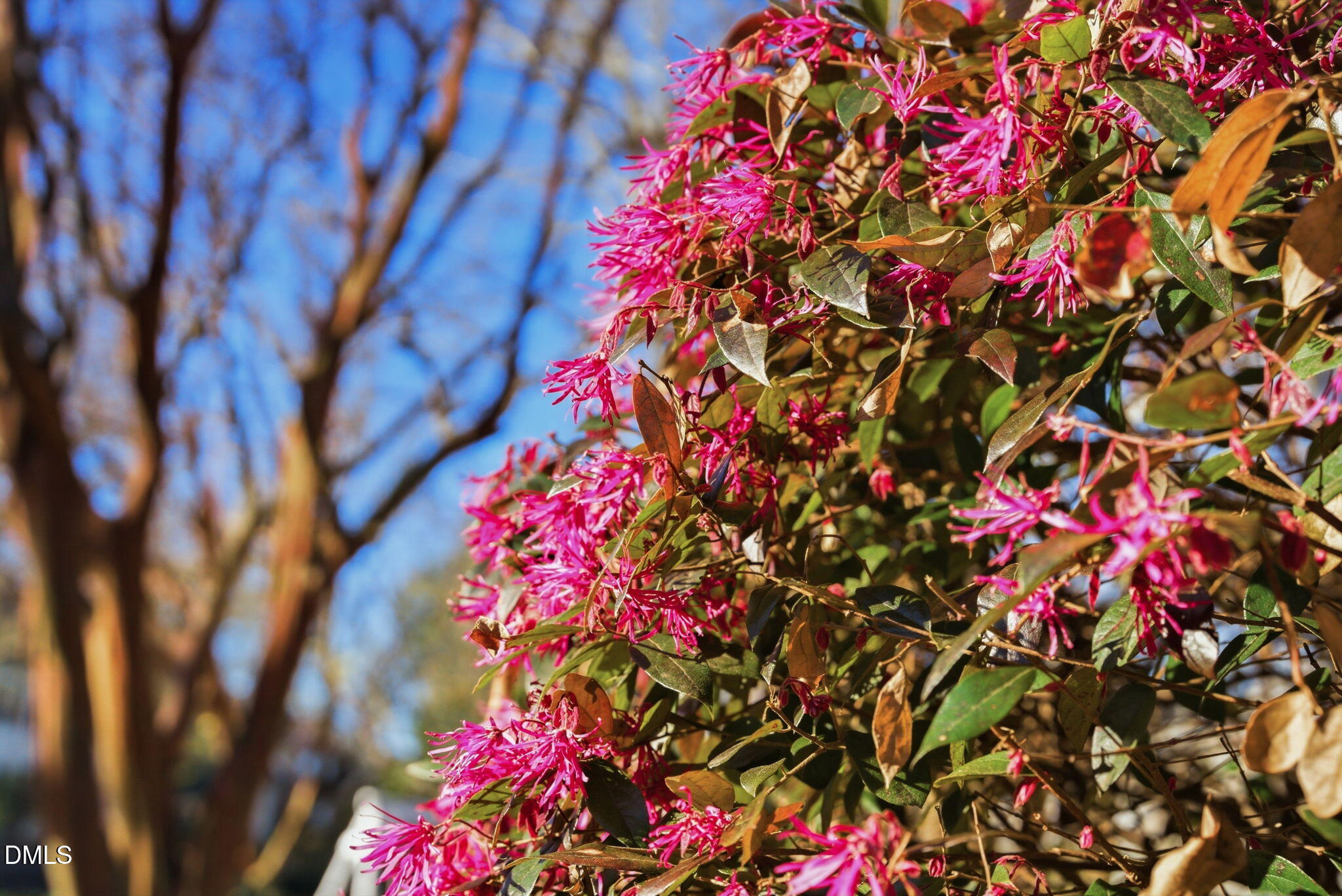 101 Frenchmans Bluff Drive