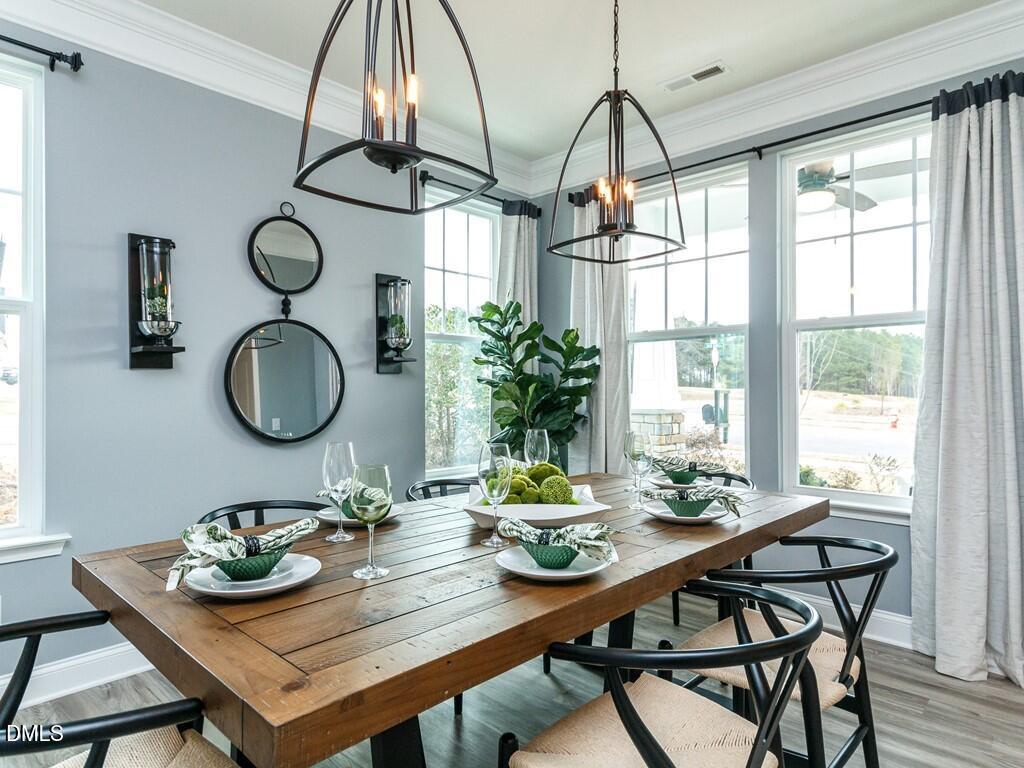 2243 Great Smoky Place