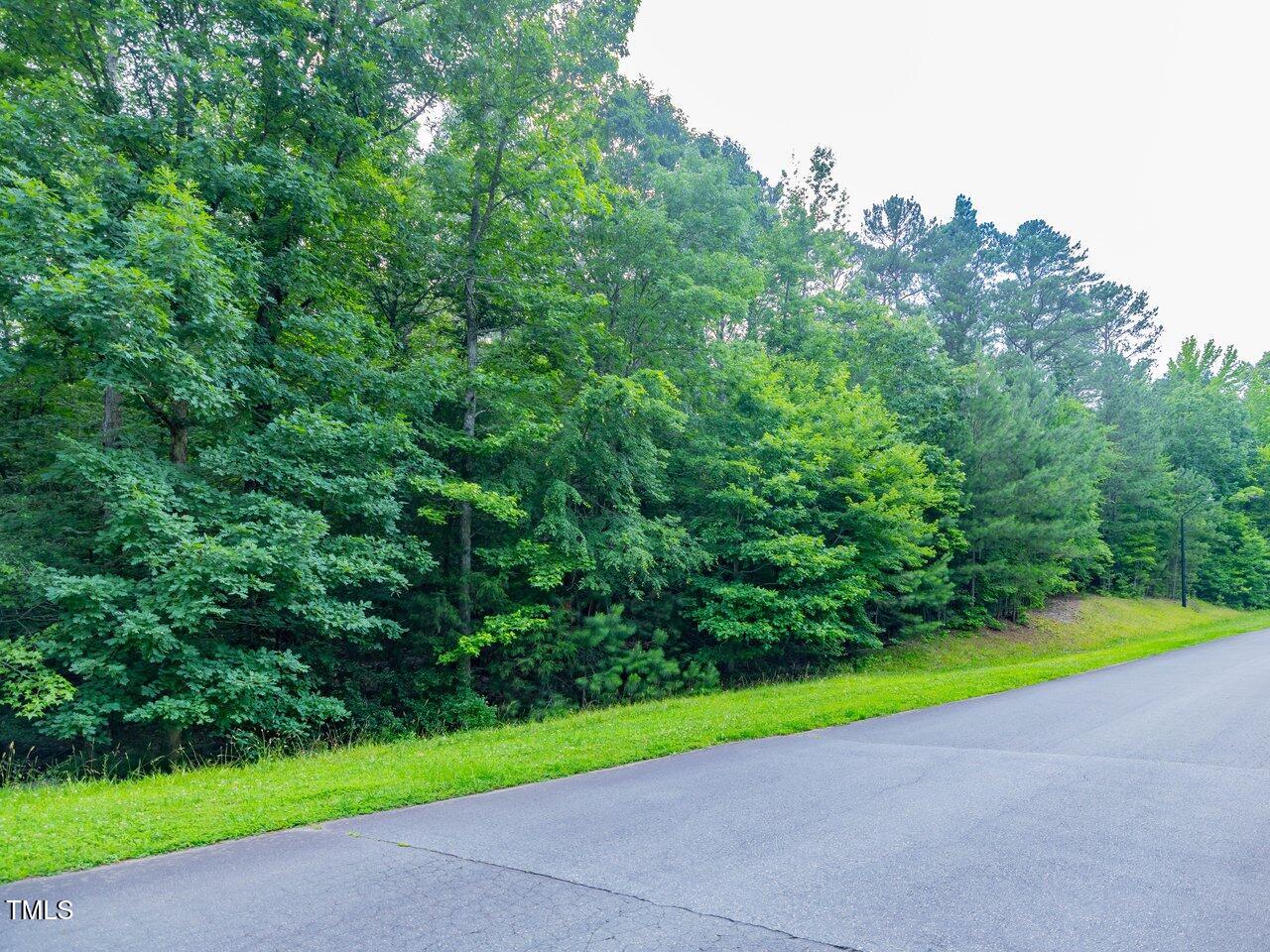 459 Windfall Creek Drive