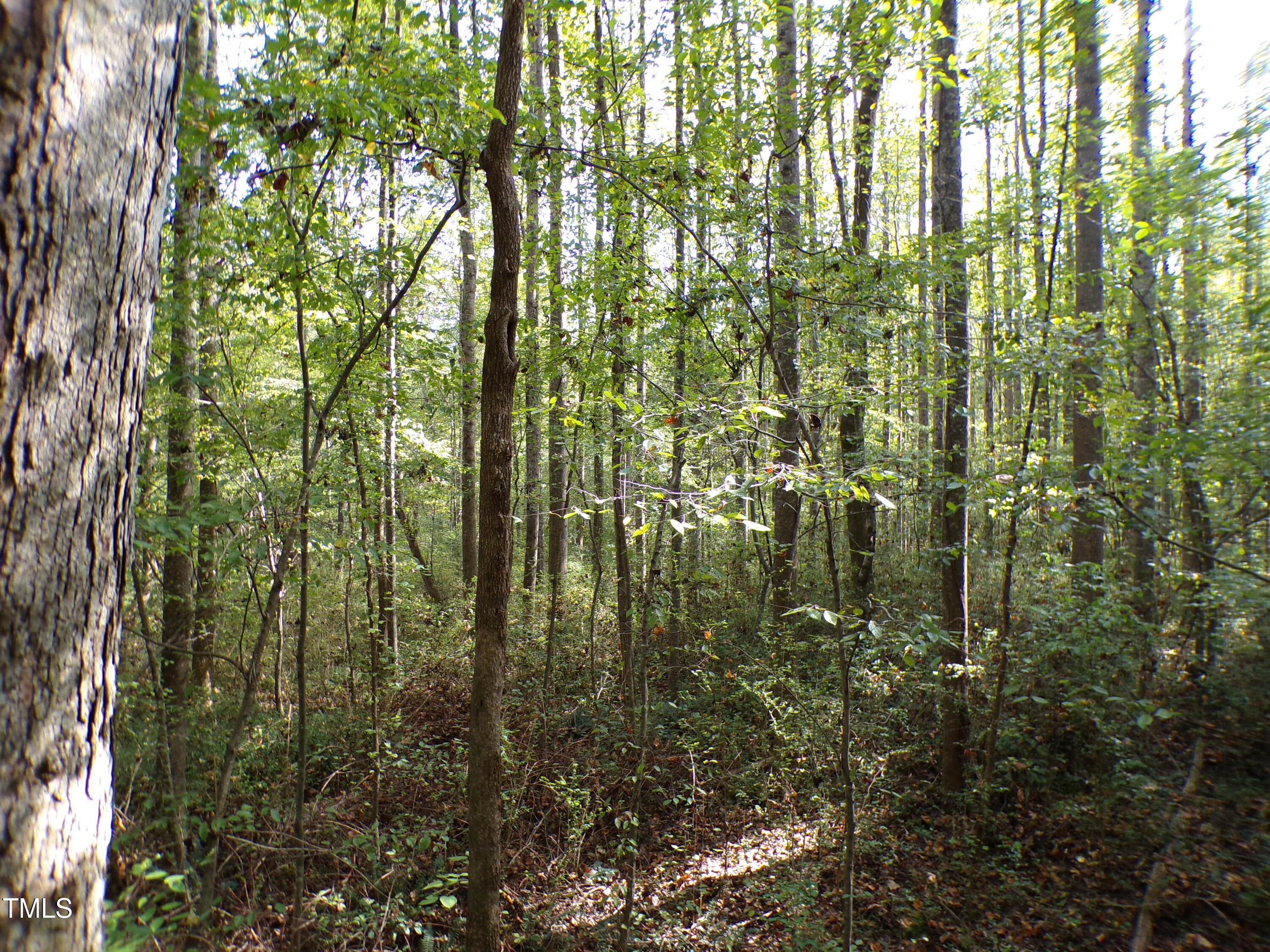 563 Little Creek Church Road