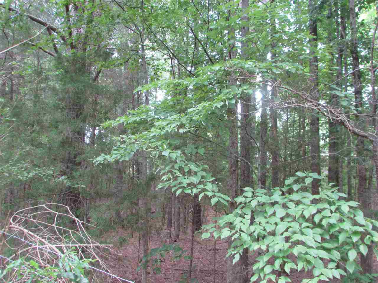 Loves Creek Church Road